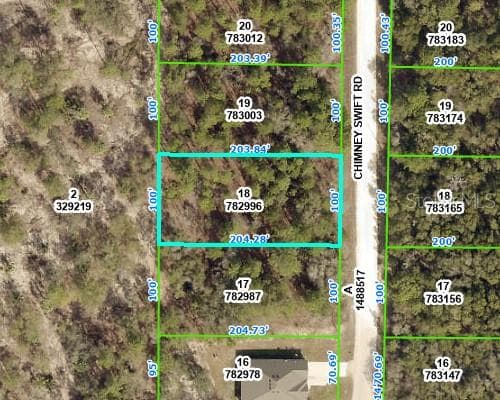 CHIMNEY SWIFT ROAD WEEKI WACHEE, FL 34614