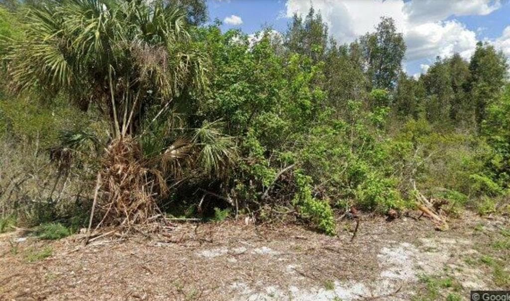 1019 LISBON AVENUE LEHIGH ACRES, FL 33974