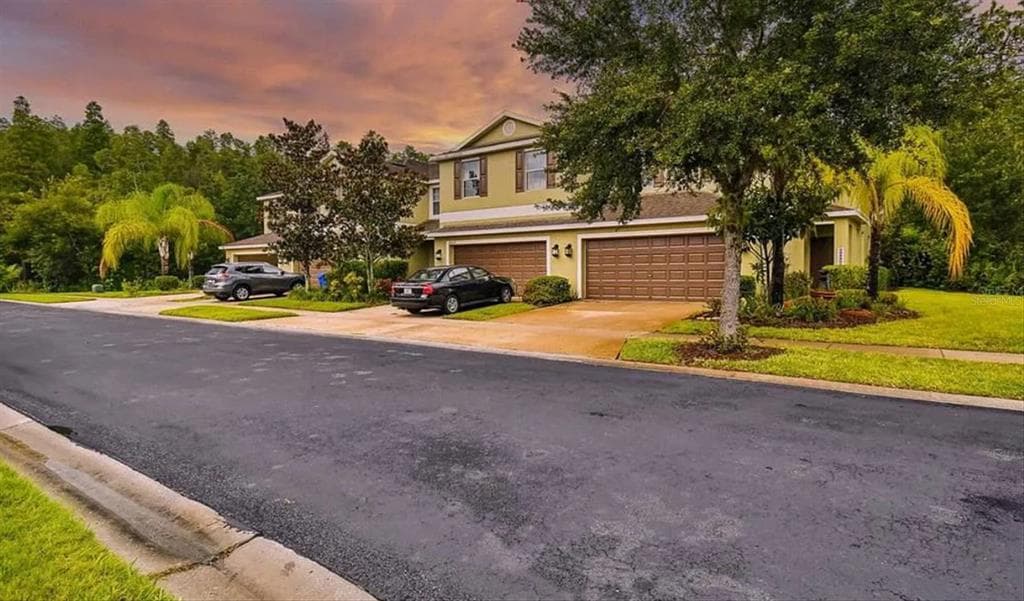 20227 INDIAN ROSEWOOD DRIVE TAMPA, FL 33647