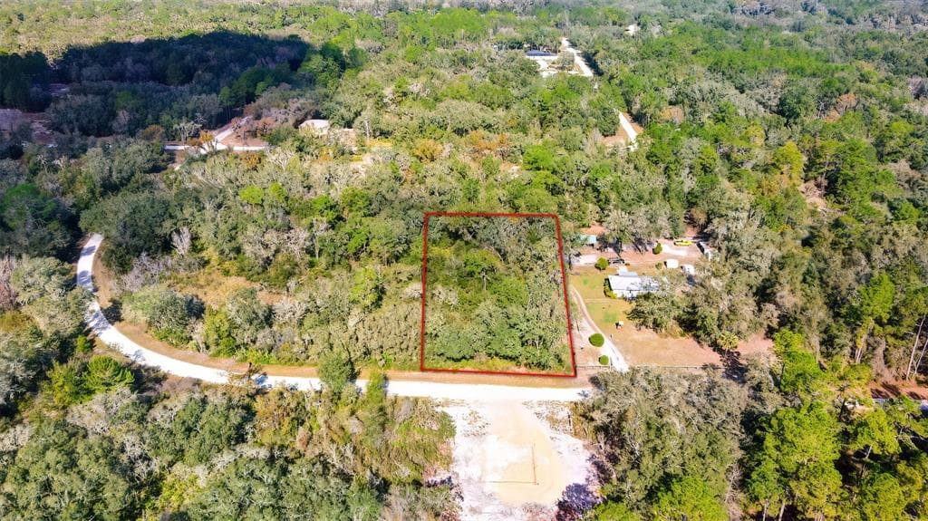 0 WILLOUGHBY DRIVE WEBSTER, FL 33597