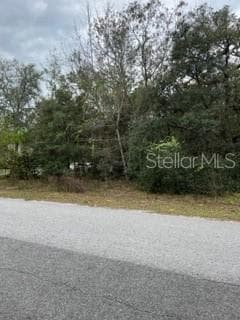11680 W CORNFLOWER DRIVE CRYSTAL RIVER, FL 34428