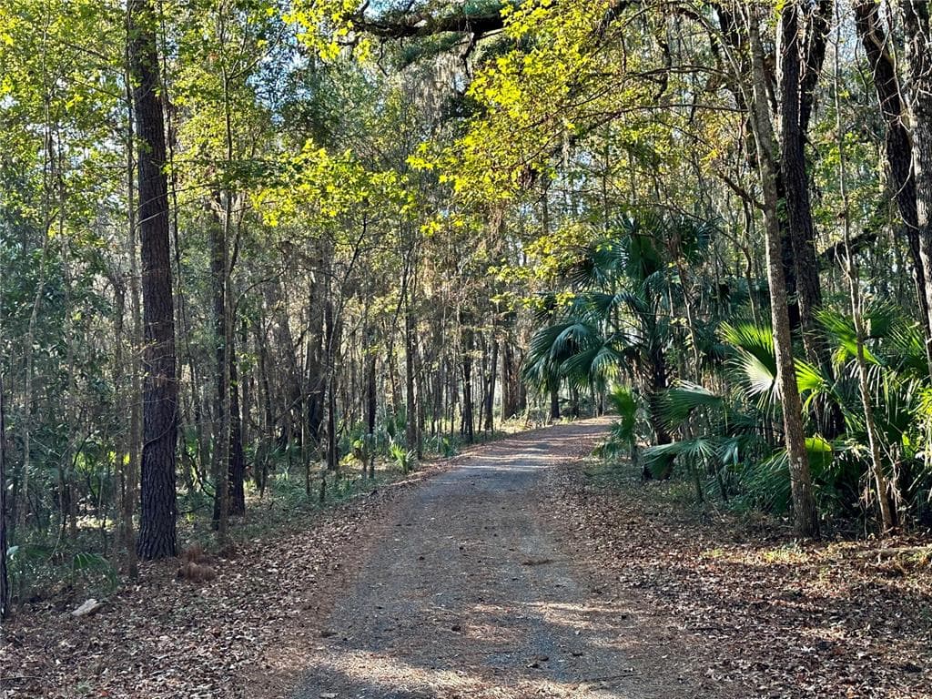 0 NW 193RD STREET MICANOPY, FL 32667