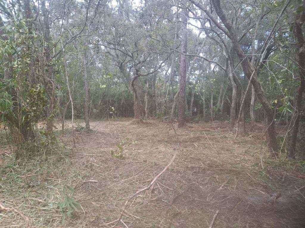 POCO LOOP NEW PORT RICHEY, FL 34654