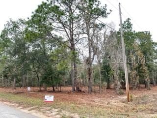423 QUAIL HOLLOW ROAD SATSUMA, FL 32189