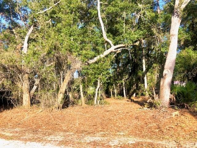 109 BLUEGILL DRIVE SATSUMA, FL 32189