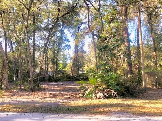 107 BLUEGILL DRIVE SATSUMA, FL 32189