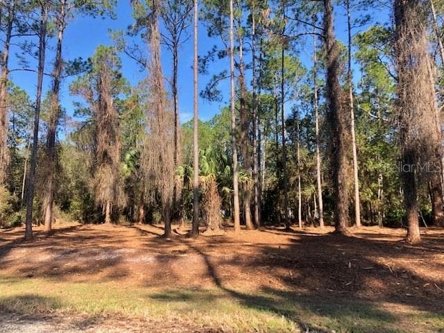 224 PALM WAY GEORGETOWN, FL 32139