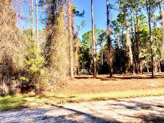 222 PALM WAY GEORGETOWN, FL 32139