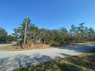 1 BLACK WILLOW COURT N HOMOSASSA, FL 34446
