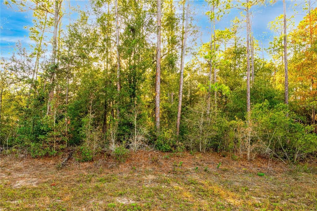 10404 N HOLCOMB DRIVE CITRUS SPRINGS, FL 34434