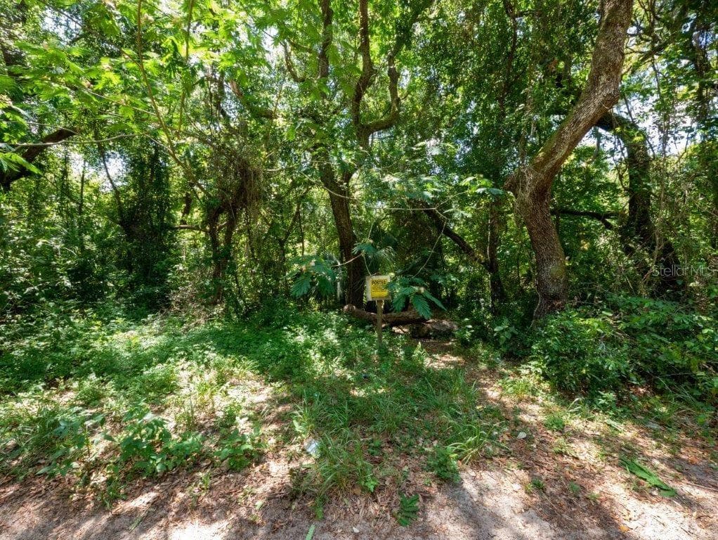 SE 155TH STREET UMATILLA, FL 32784