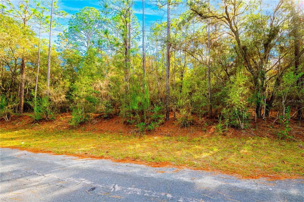 2721 W BLINK DRIVE CITRUS SPRINGS, FL 34434