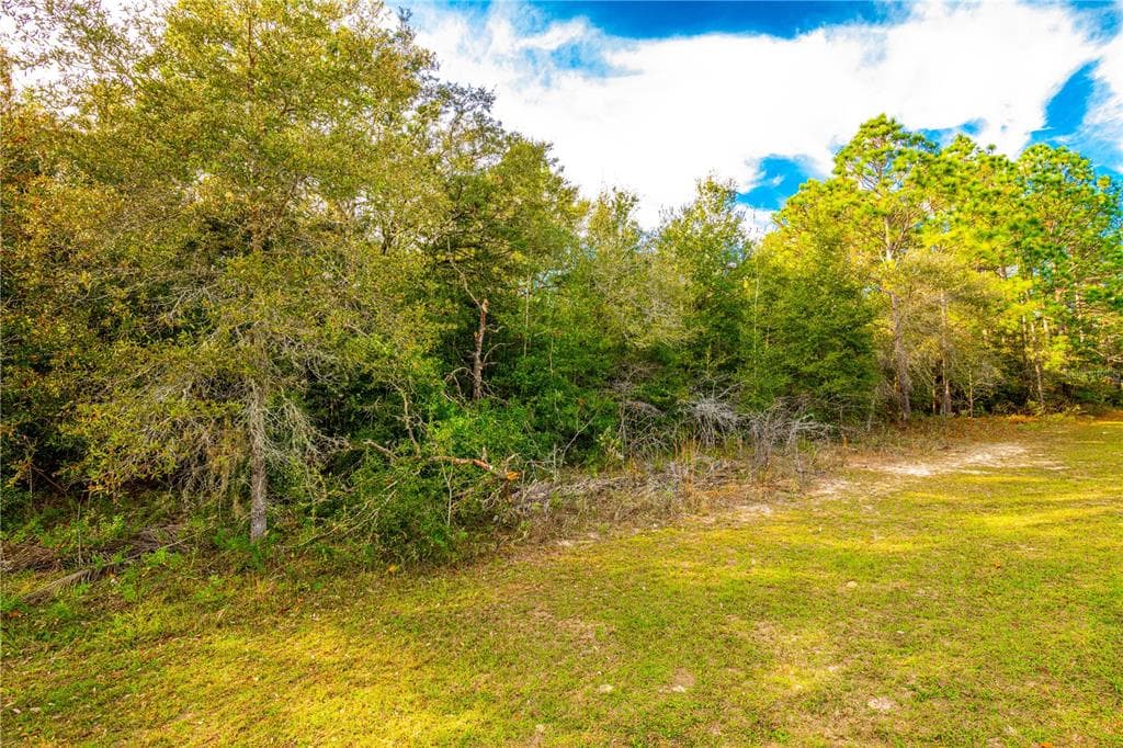 436 E MARLOW PLACE CITRUS SPRINGS, FL 34434