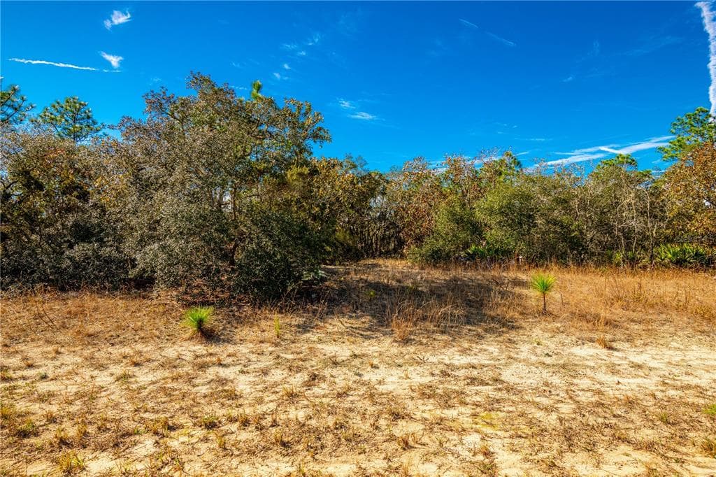 6660 N TASSEL TERRACE CITRUS SPRINGS, FL 34433