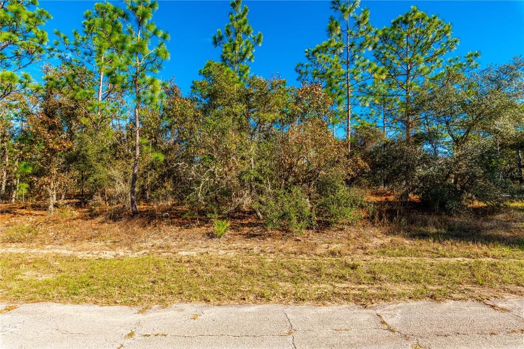 6672 N TASSEL TERRACE CITRUS SPRINGS, FL 34433