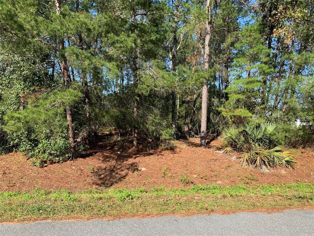 TBD SW 113 PLACE OCALA, FL 34476