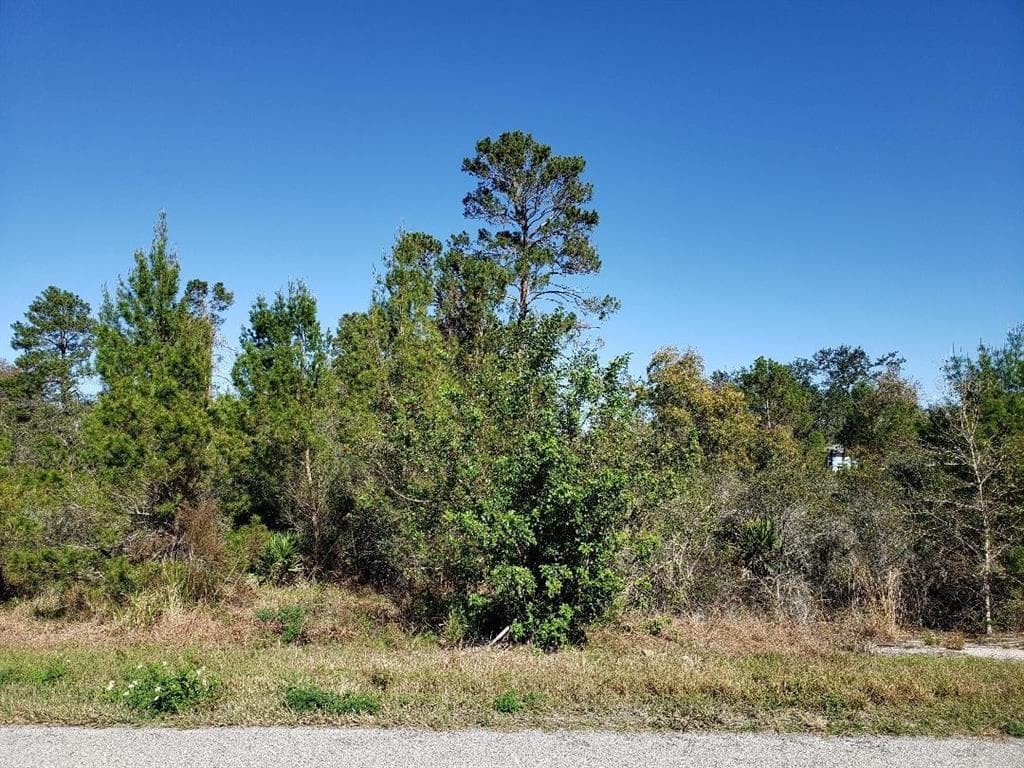 1028 COLUMBUS STREET LAKE PLACID, FL 33852