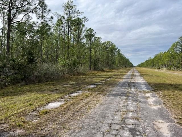 815 JAPONICA AVENUE INDIAN LAKE ESTATES, FL 33855