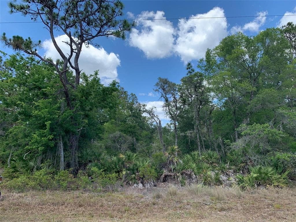 11489 W CORNFLOWER DRIVE CRYSTAL RIVER, FL 34428