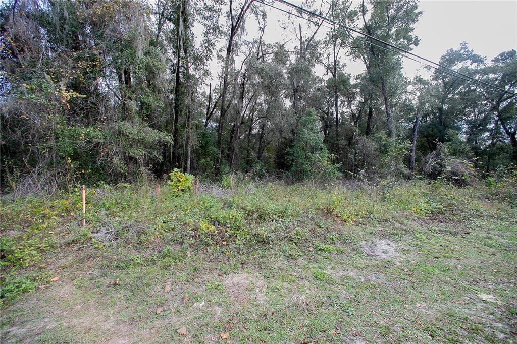 4715 S SILVER FOX TERRACE INVERNESS, FL 34452