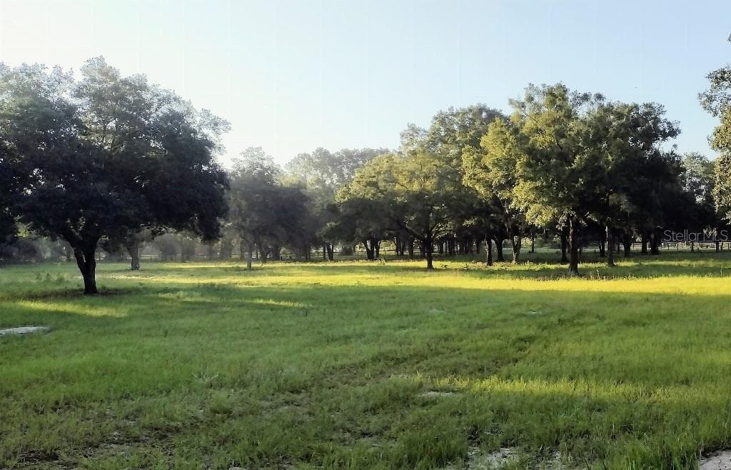 18391 S 42 PLACE MORRISTON, FL 32668