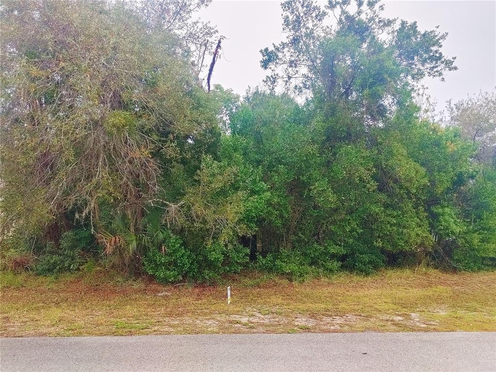 4328 BAYRIDGE COURT SPRING HILL, FL 34606