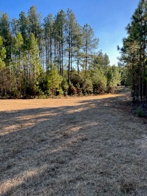 SHORT PINE LANE WESTVILLE, FL 32464
