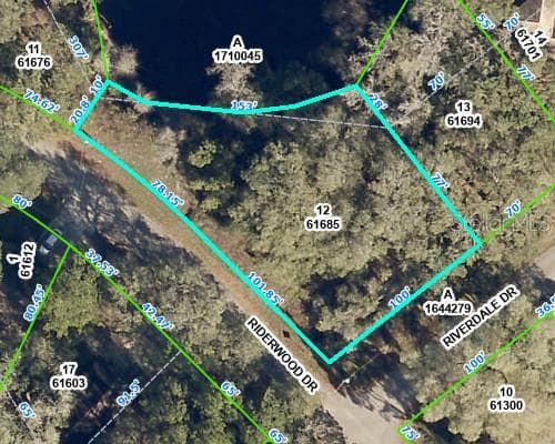 RIDERWOOD DRIVE DADE CITY, FL 33523