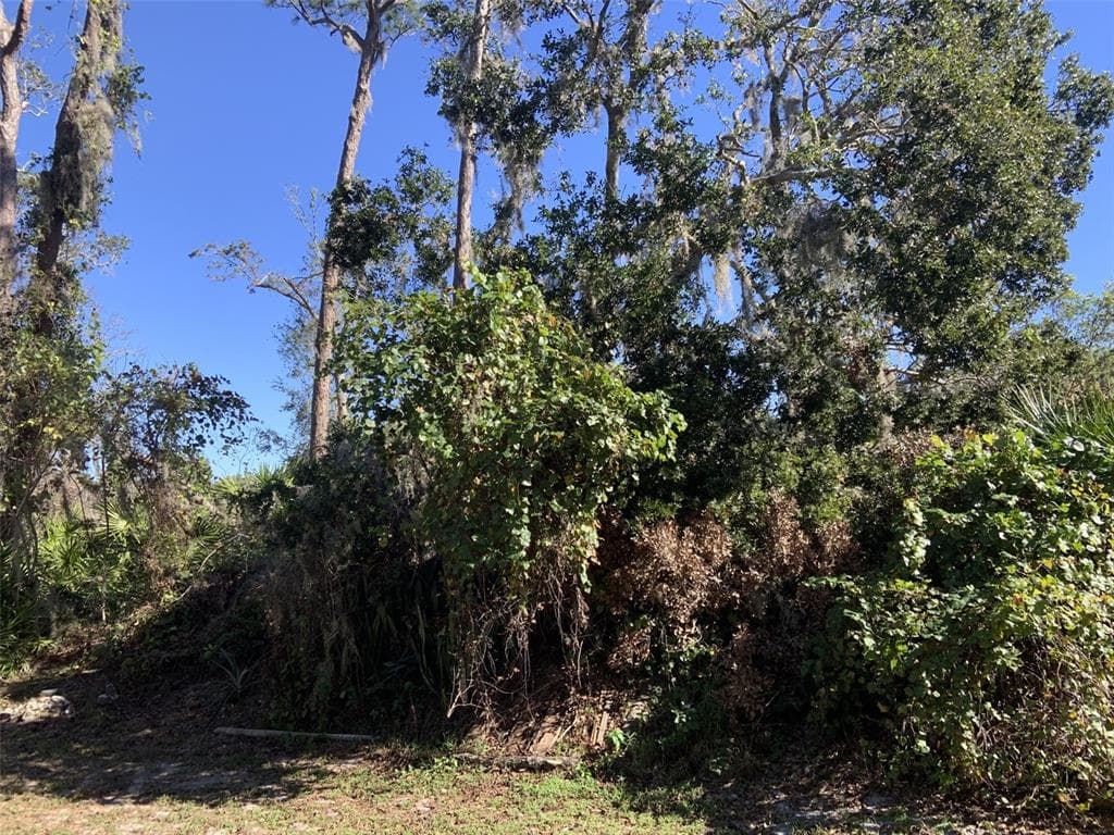 324 BOTTLEBRUSH AVENUE LAKE PLACID, FL 33852