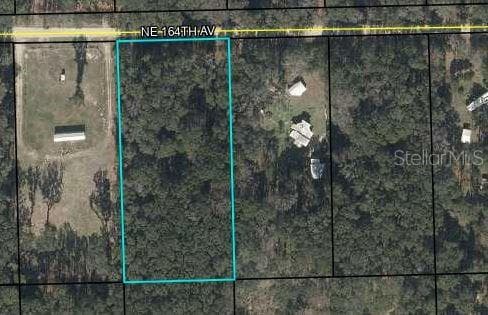230 NE 164TH AVENUE OLD TOWN, FL 32680