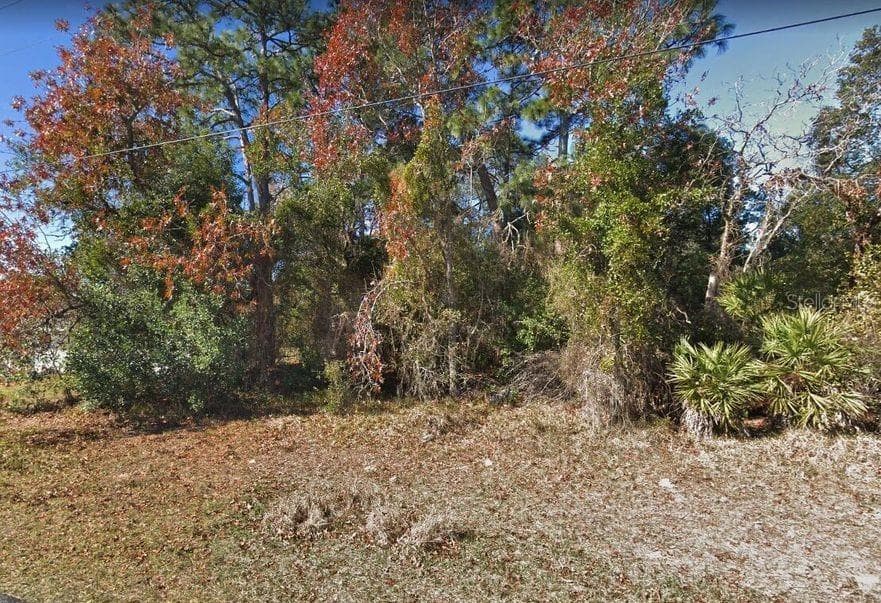 5045 KEYSVILLE AVENUE SPRING HILL, FL 34608