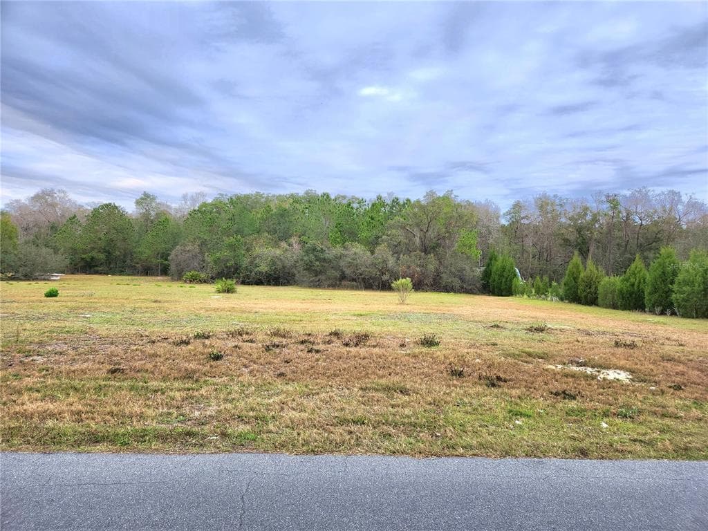 DOUBLE DIAMOND DRIVE POLK CITY, FL 33868