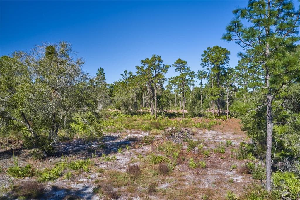 904 HIBISCUS DRIVE INDIAN LAKE ESTATES, FL 33855
