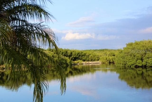 7249 MOUNT PINEY ROAD NE UNIT 711 ST PETERSBURG, FL 33702