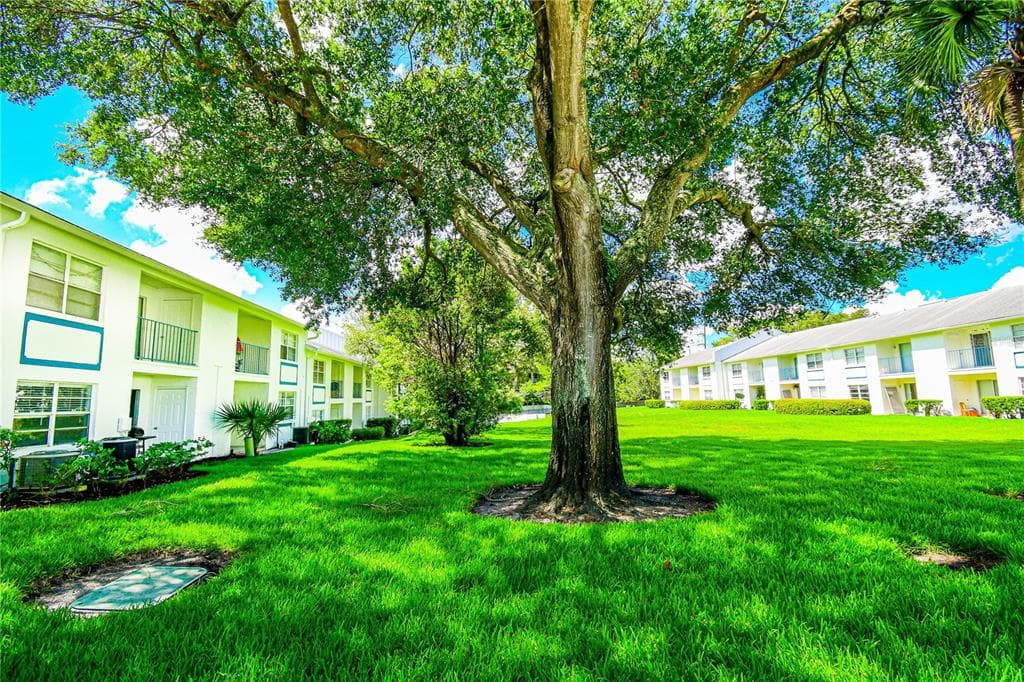 5035 BORDEAUX VILLAGE PLACE UNIT 101 TAMPA, FL 33617