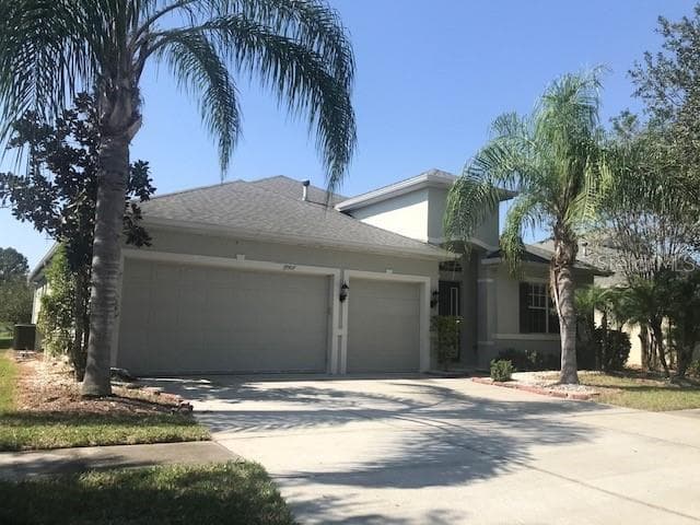19907 BLUFF OAK BOULEVARD TAMPA, FL 33647