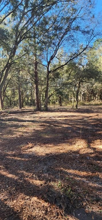 7050 NE 192ND PLACE CITRA, FL 32113