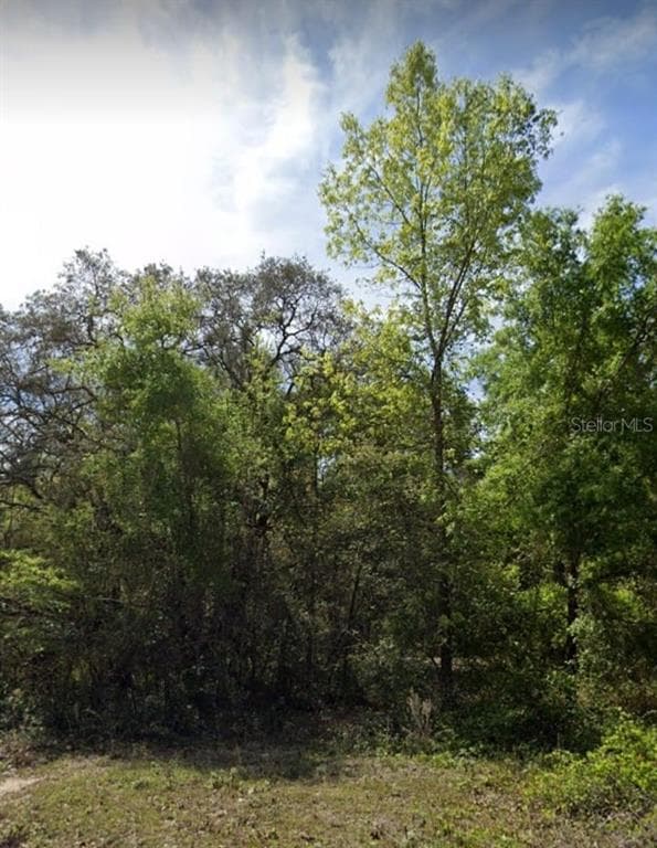 SAM C ROAD BROOKSVILLE, FL 34613