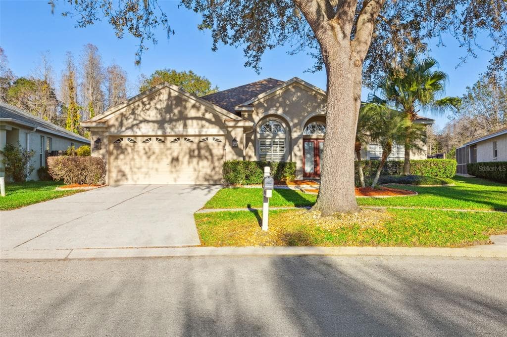 19412 MORDEN BLUSH DRIVE LUTZ, FL 33558