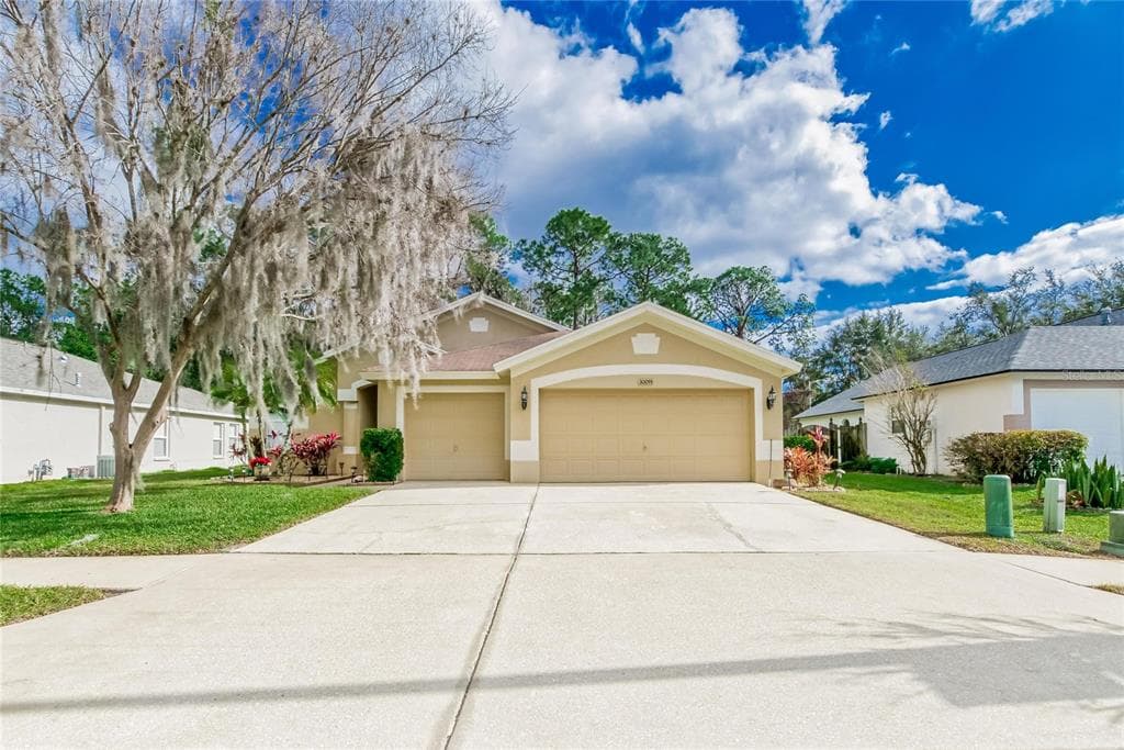30055 MORNINGMIST DRIVE WESLEY CHAPEL, FL 33543