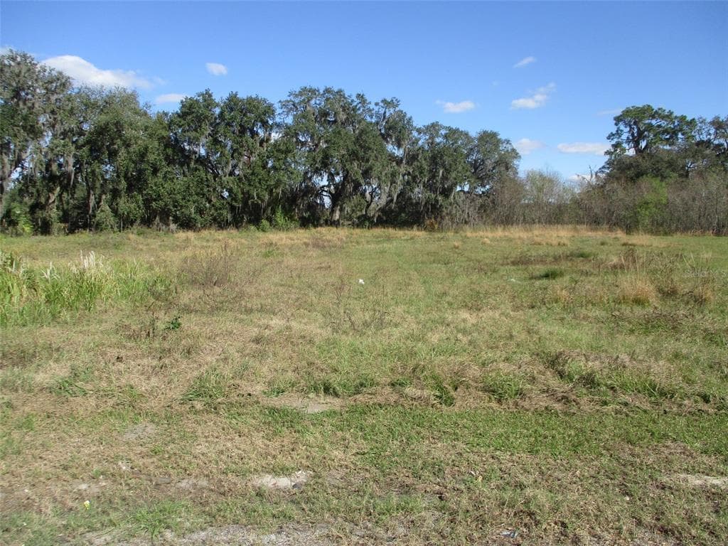 2835 MYSTIC OAKS DRIVE PLANT CITY, FL 33563
