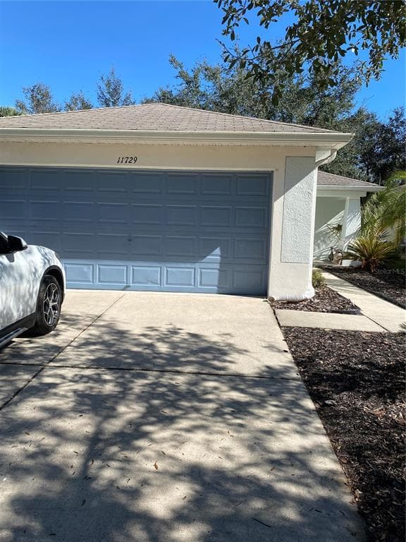 11729 CREST CREEK DRIVE RIVERVIEW, FL 33569