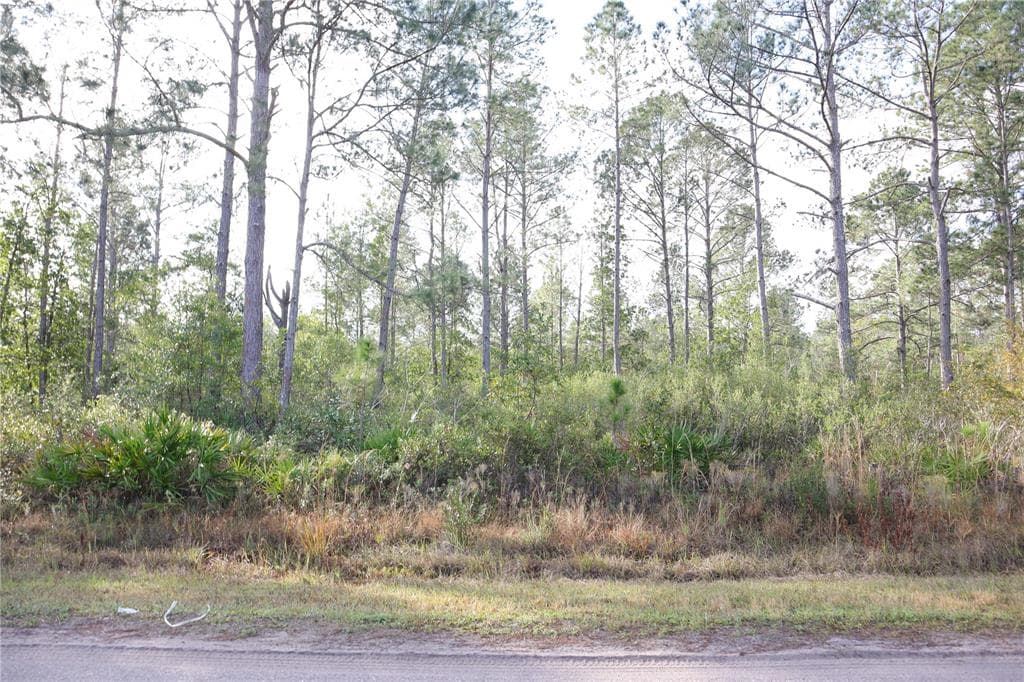 OIL WELL ROAD CLERMONT, FL 34714
