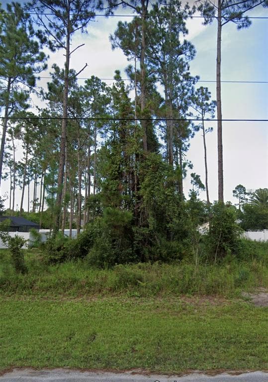 77 LAGUNA FOREST TRAIL PALM COAST, FL 32164