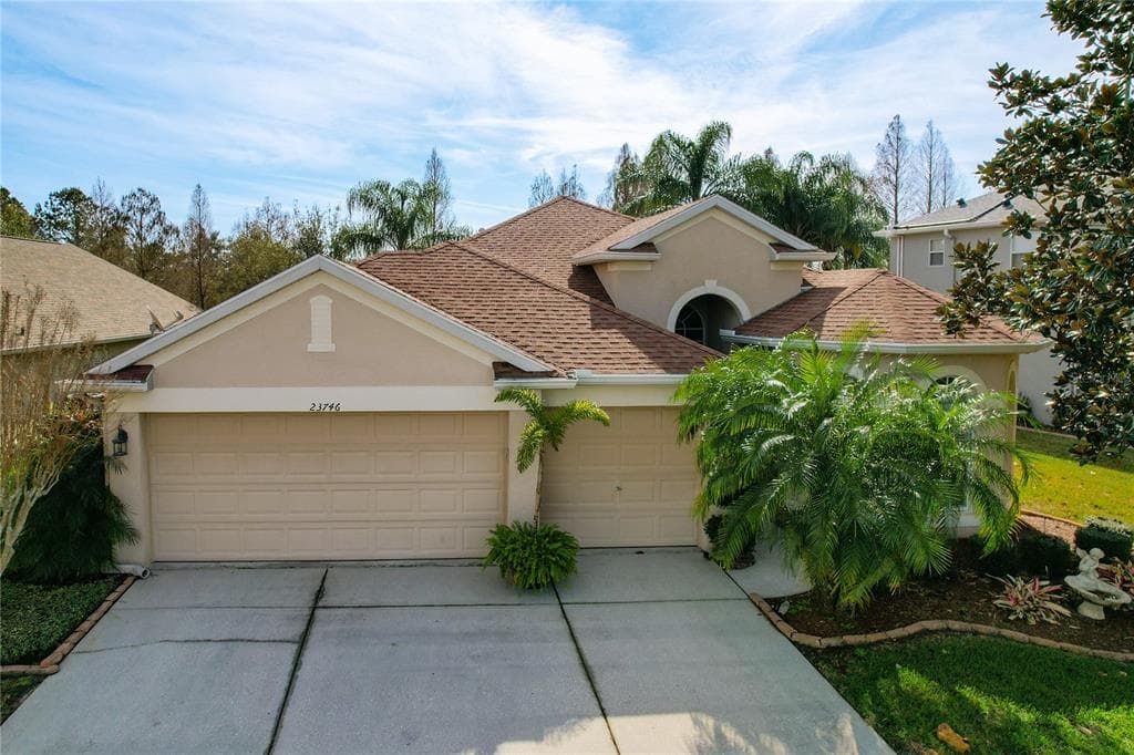 23746 PLANTATION PALMS BOULEVARD LAND O LAKES, FL 34639