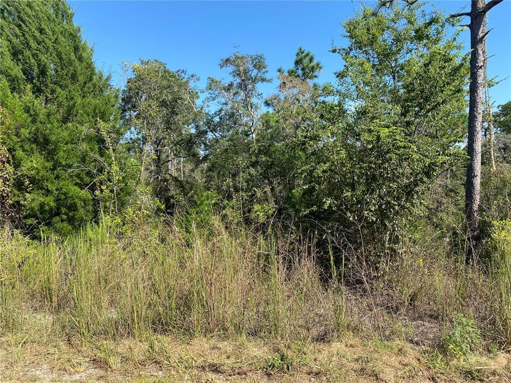 00 HARRISON STREET BROOKSVILLE, FL 34613