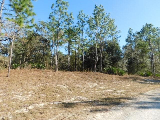 0 COLONEL AVENUE WEBSTER, FL 33597