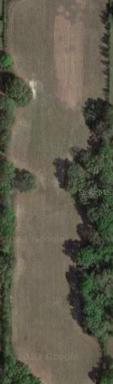 647 BROCK ROAD MONTICELLO, FL 32344