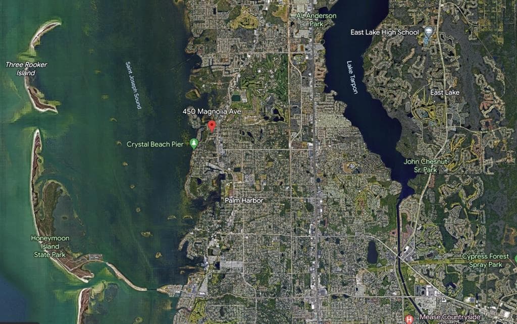 450 MAGNOLIA AVENUE PALM HARBOR, FL 34683