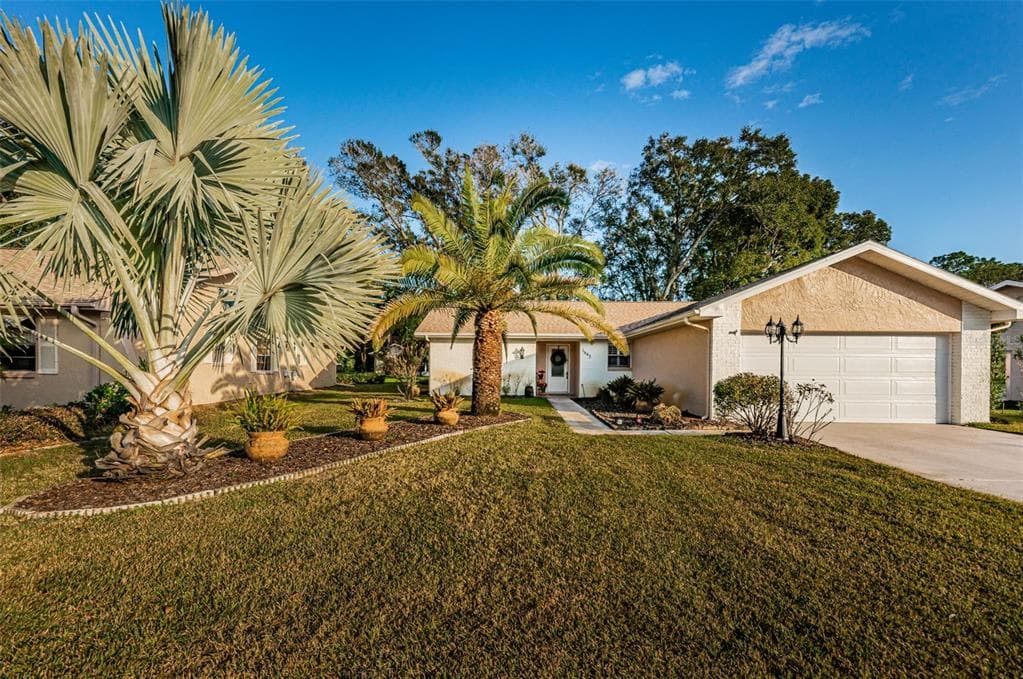 1643 E DORCHESTER COURT PALM HARBOR, FL 34684